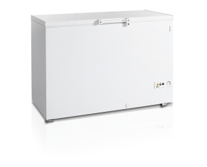 Ларь морозильный Tefcold FR405 SL