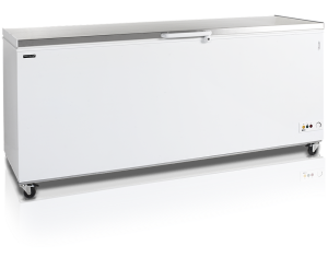 Ларь морозильный Tefcold CF700S SL
